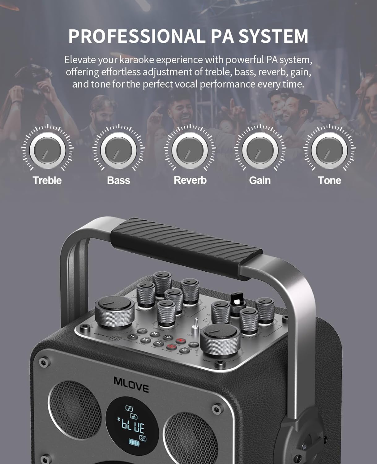 D5 Karaoke Machine with BT Wireless Microphone for Adults, Portable Karaoke Speaker with 2 Microphones, Recording, Instrument PA System for Home & Outdoor, 200W, Audio Rechargeable