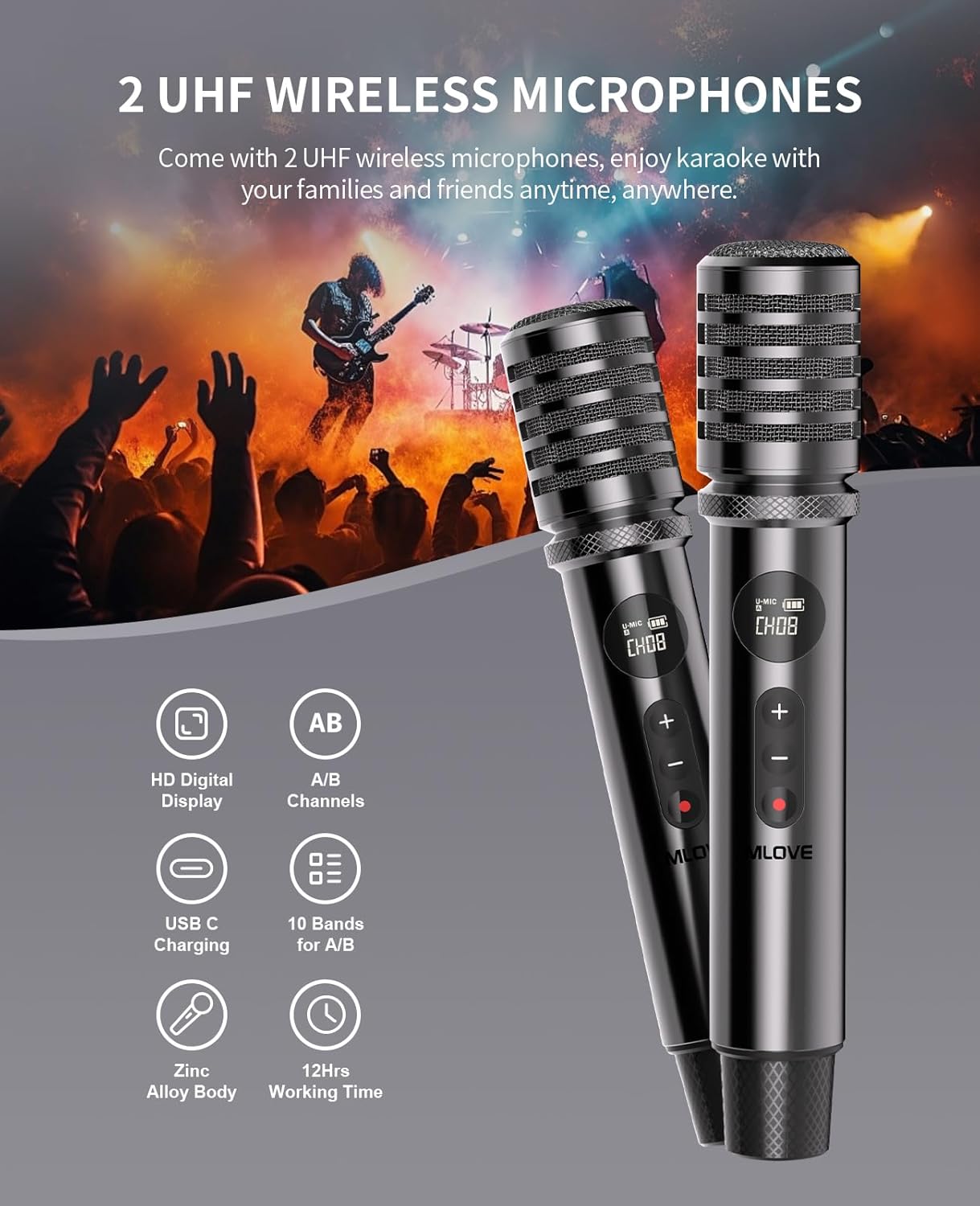 D5 Karaoke Machine with BT Wireless Microphone for Adults, Portable Karaoke Speaker with 2 Microphones, Recording, Instrument PA System for Home & Outdoor, 200W, Audio Rechargeable